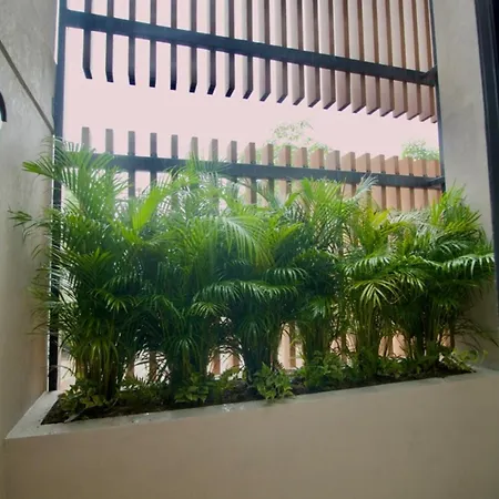 Spectacular 3br - Private Jacuzzi - Downtown Gem * Cartagena